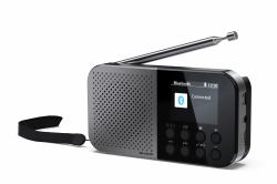 Sharp DR-P520 Persönlich Digital Grau (Sharp DR-P520[GY] OSAKA Pocket/Handhel)